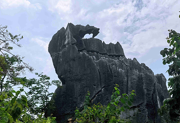 石林风景区第 149 张图片