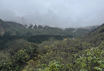 中国贡嘎山海螺沟第 58 张图片