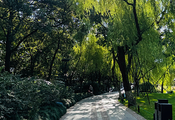 西湖观光游览车第 35 张图片