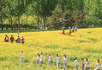 北京温榆河公园第 37 张图片