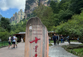 张家界国家森林公园第 211 张图片