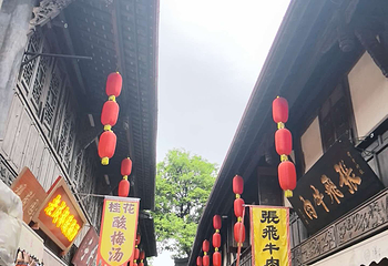 宽窄巷子第 225 张图片