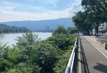 蒙顶山第 160 张图片