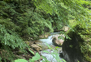 官鹅沟大景区第 58 张图片