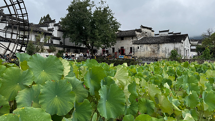 西递第 142 张图片