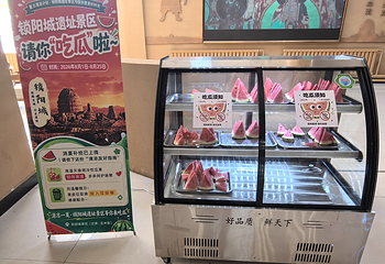 锁阳城遗址第 31 张图片
