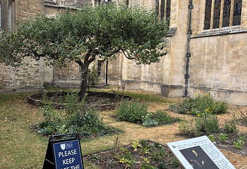 剑桥大学第 87 张图片