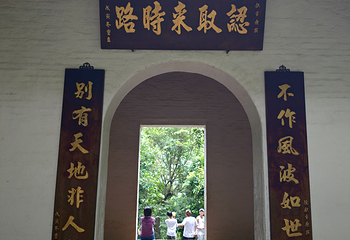 鼎湖山第 68 张图片