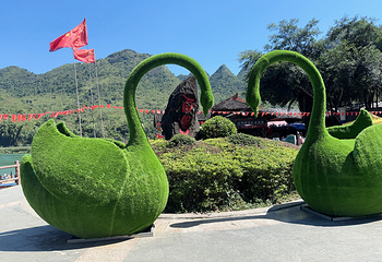 巴马百鸟岩第 11 张图片