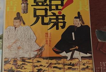 小田原城第 30 张图片