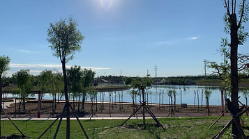 巴彦淖尔市植物园