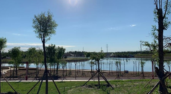 巴彦淖尔市植物园