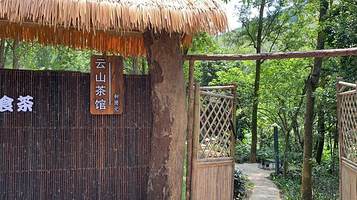 白云山茶文化园