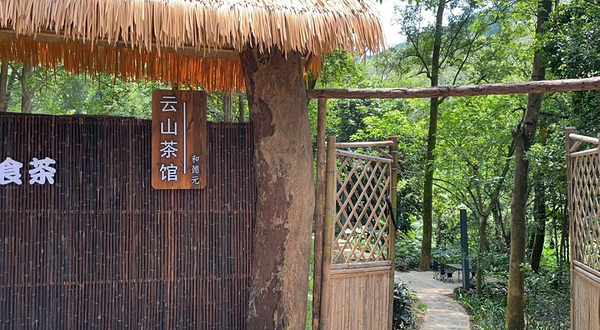 白云山茶文化园