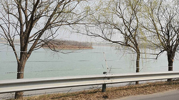 秦皇河国家湿地公园-鸟岛