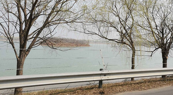 秦皇河国家湿地公园-鸟岛