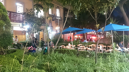 Zona Rosa第 7 张图片