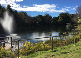 天宝林国家公园萤火虫洞