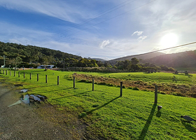 坎尼特河沿岸考拉步行道