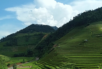 Pu Luong Nature Reserve第 5 张图片