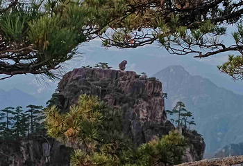 黄山风景区第 326 张图片