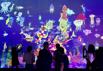 墨尔本水族馆第 42 张图片