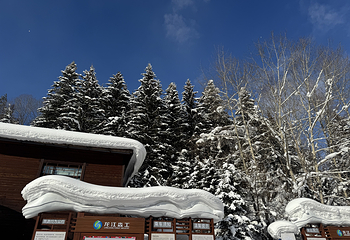 中国雪乡第 18 张图片