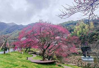 葛仙村度假区第 146 张图片