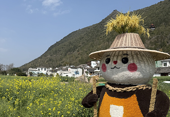 万峰林景区第 61 张图片