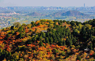 香山公园第 37 张图片