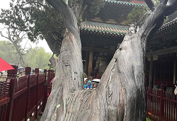 晋祠博物馆第 542 张图片