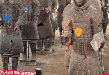 秦始皇帝陵博物院(兵马俑)第 455 张图片