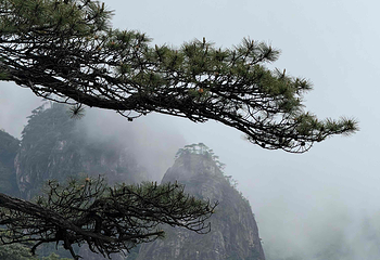 三清山风景区第 227 张图片