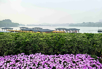玄武湖景区第 52 张图片