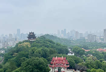 黄鹤楼第 251 张图片