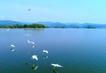 三岔湖景区第 47 张图片