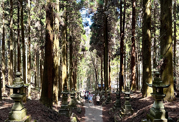 上色见熊野座神社第 27 张图片
