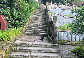 岳麓山第 67 张图片