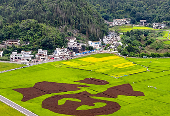 万峰林景区第 51 张图片