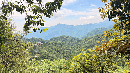 青城山第 63 张图片