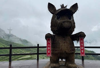 云和梯田景区第 76 张图片