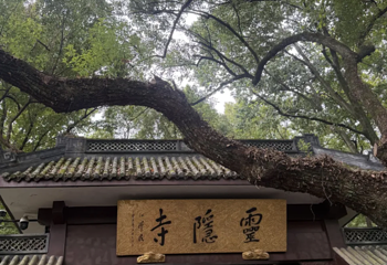 灵隐寺第 183 张图片