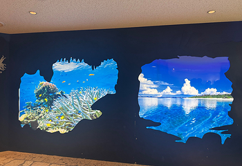 冲绳美丽海水族馆第 90 张图片