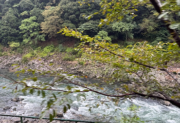 岚山嵯峨野观光小火车第 79 张图片