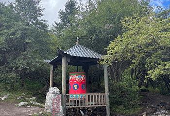 四姑娘山双桥沟景区第 219 张图片