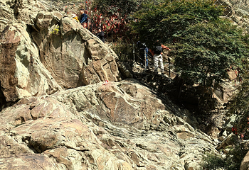 贺兰山岩画第 147 张图片