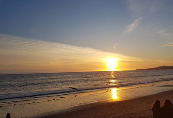 Butterfly Beach第 11 张图片