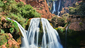 Camel Ride Marrakech