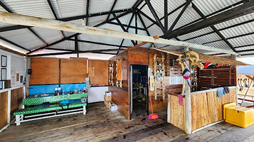 Bintan nemo “bintan island”