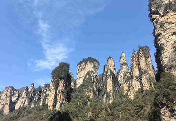 张家界国家森林公园第 89 张图片